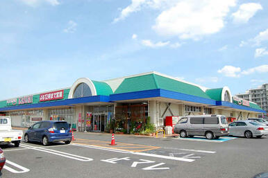 カスミフードスクエア大穂店