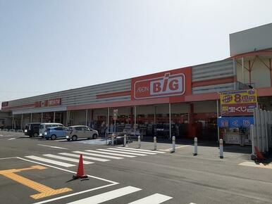 ザ・ビッグ岡山一宮店