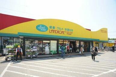 ランドロームフードマーケット山王店