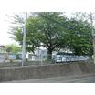 幼稚園、保育園