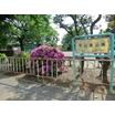 公園
