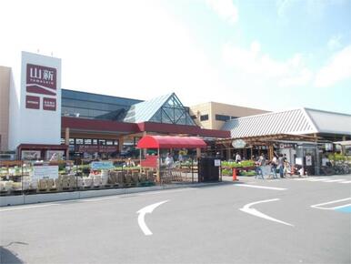 山新 石岡店