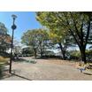 公園