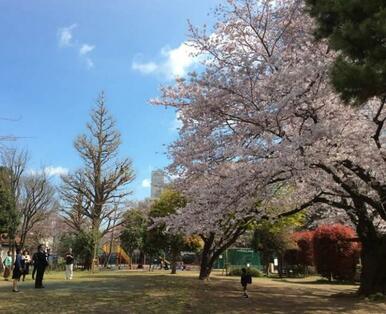 亀塚公園