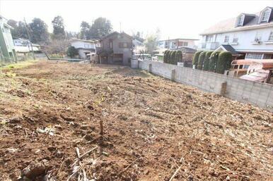 撮影日(2023年3月)