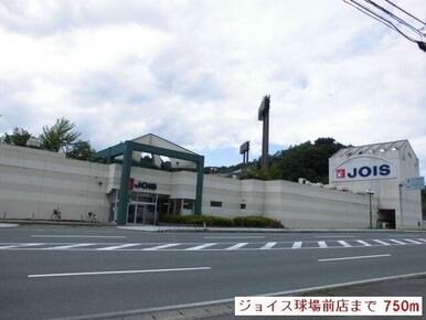 ジョイス球場前店