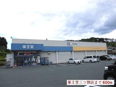 薬王堂三ツ割店