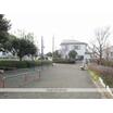 公園