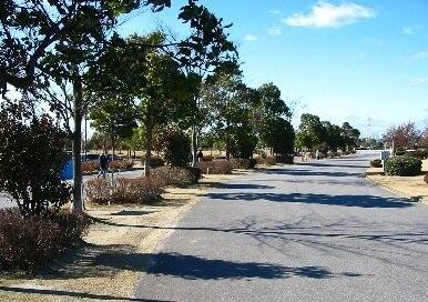 総合運動公園
