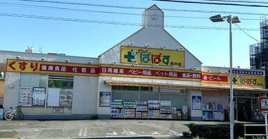 どらっぐぱぱす　西台店