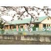 幼稚園、保育園
