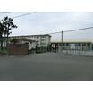 中学校