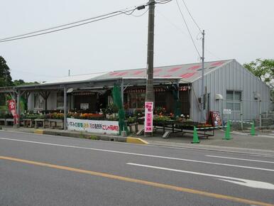 農産物直売所ごじゃ箱　　地元の野菜・米・花等販売しています。