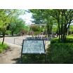 公園