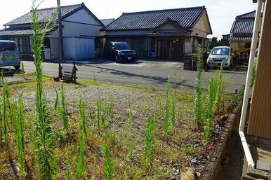 現地　道路に向かって