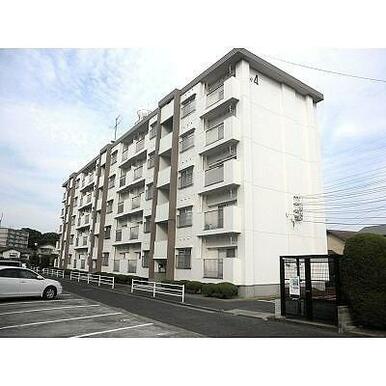 人気の井堀エリアです