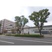 大学