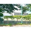 中学校
