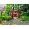 公園