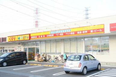 どらっぐぱぱす 八潮大瀬店