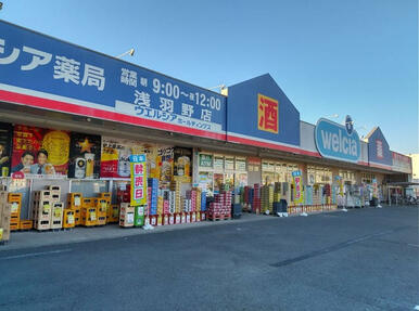 ウエルシア坂戸浅羽野店