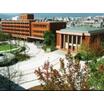 大学