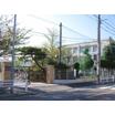 小学校
