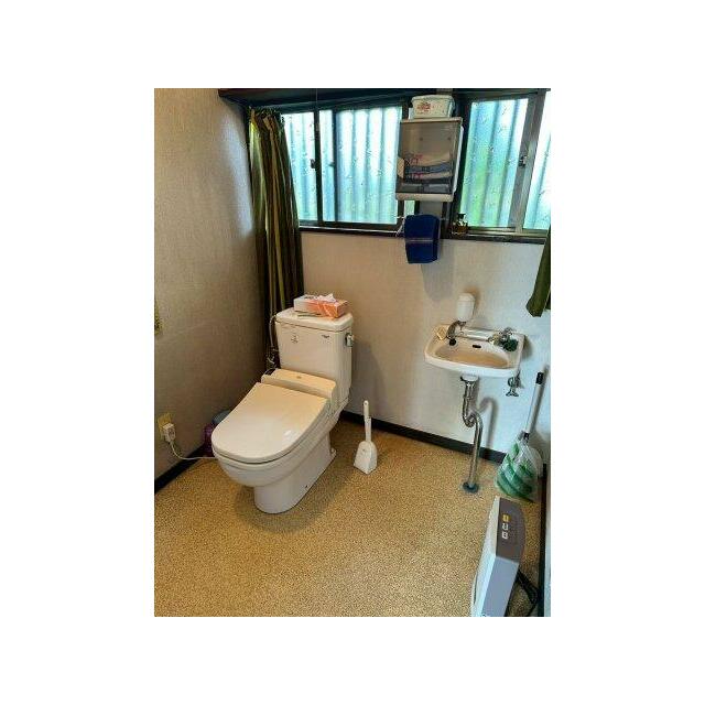 独立した手洗い台を設けた、窓のある衛生的なトイレです。