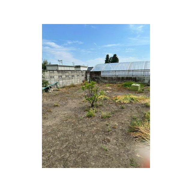 陽当たりを遮るものがなく、土いじりを楽しめる敷地です。