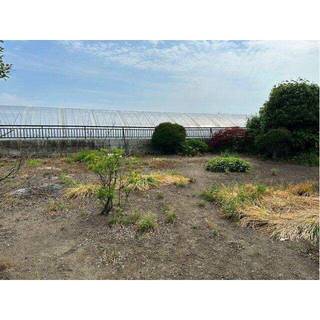 家庭菜園やガーデニングの用途に適した敷地内の庭スペース。