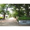 公園