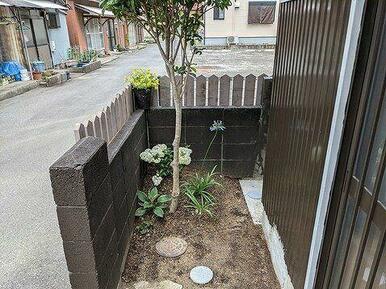 庭