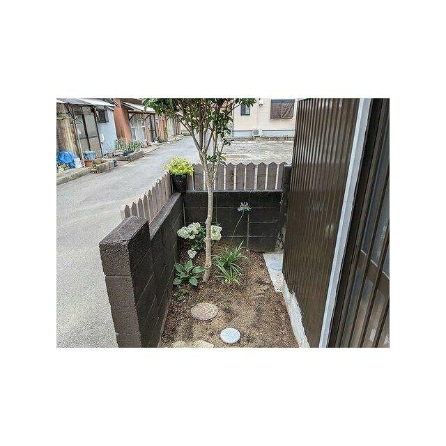 庭