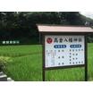 幼稚園、保育園