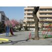 公園