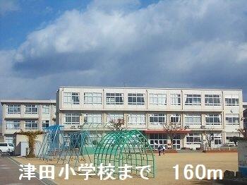 津田小学校