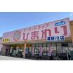 販売店