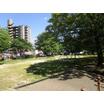 公園