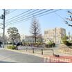 公園