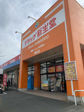 ドラッグ新生堂昇町店