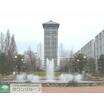 大学