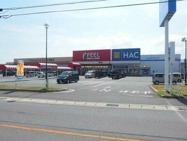 フィール　福岡店