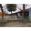 幼稚園、保育園