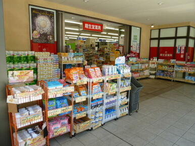 龍生堂薬局あざみ野店