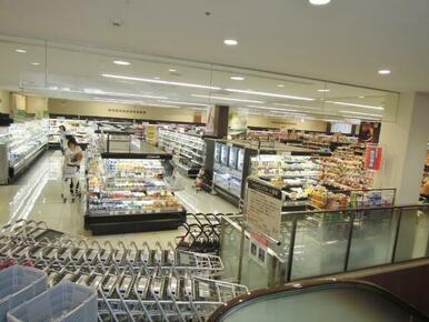 武蔵小山駅ビル東急ストア