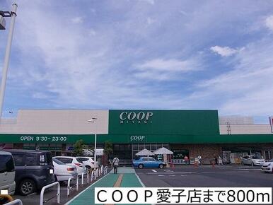 ＣＯＯＰ愛子店