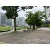 公園