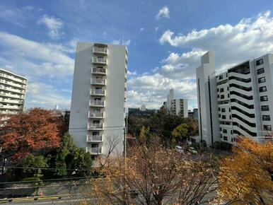 バルコニーからの眺望（東側）。前面道路で開放感があります。