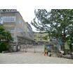 幼稚園、保育園