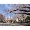公園